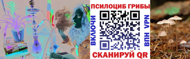 Галлюциногенные грибы мицелий  где продают   Шатура 